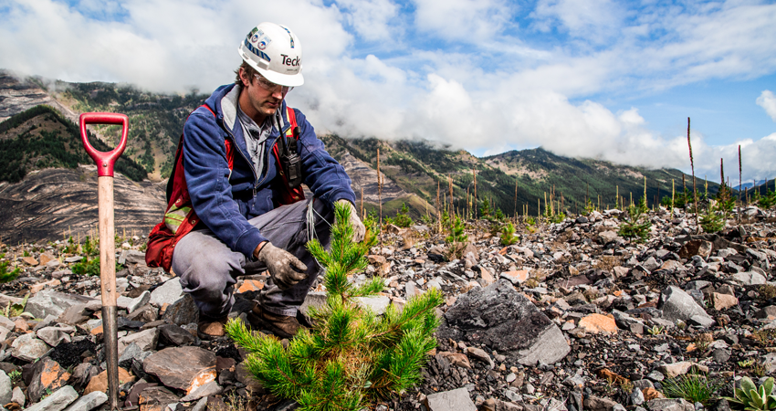 Person planting a tree sapling in a rocky area with mountains in the background.